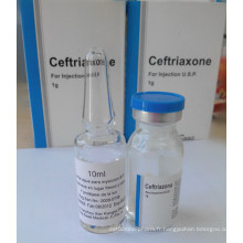 Meilleur et bas prix Ceftriaxone Sodium Injection Ceftriaxone